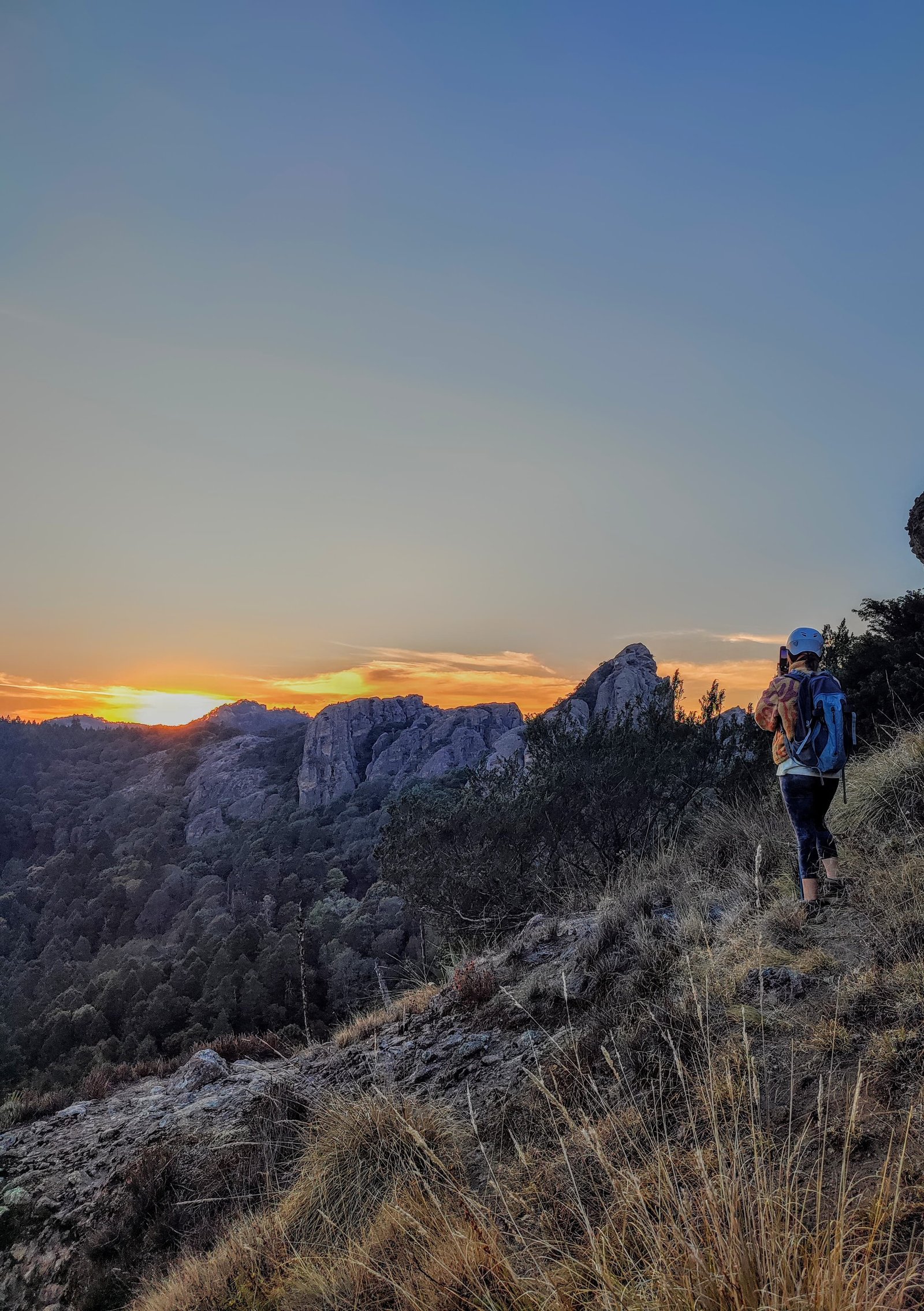 Atardecer en el bosque 