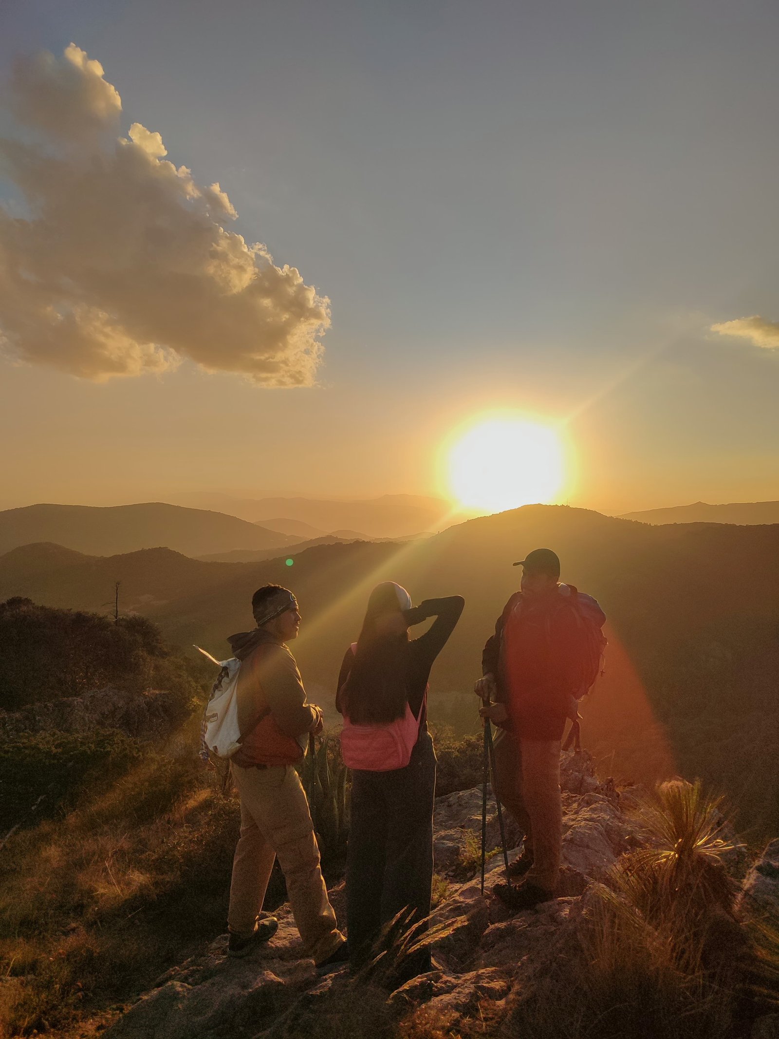 Atardecer en el bosque 